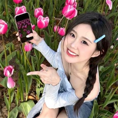 悲惨的追逐